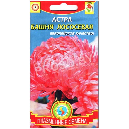 Астра Башня лососевая