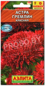 Астра Гремлин красная