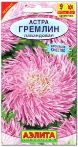 Астра Гремлин лавандовая