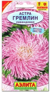 Астра Гремлин лавандовая