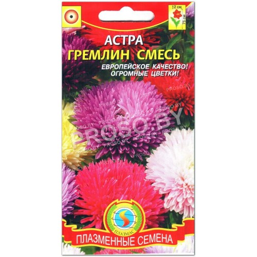 Астра Гремлин смесь-1