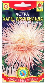Астра Харц Брунгильда