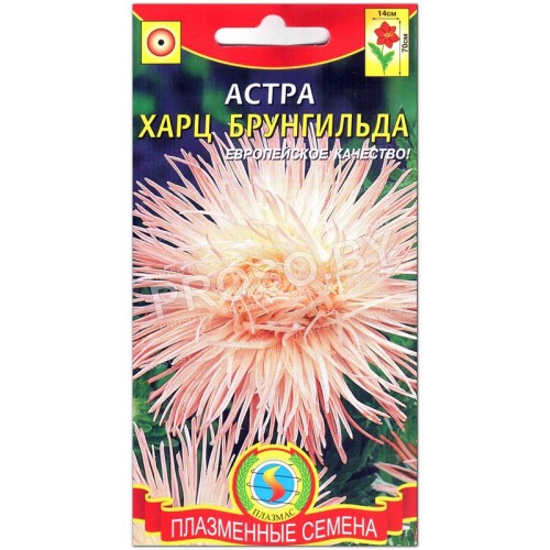 Астра Харц Брунгильда
