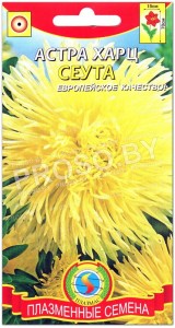 Астра Харц Сеута