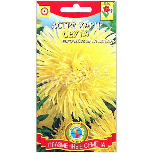 Астра Харц Сеута