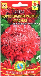 Астра Королевский размер Красная