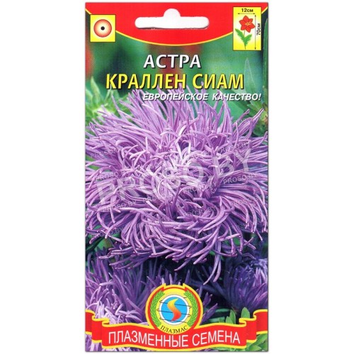 Астра Краллен сиам
