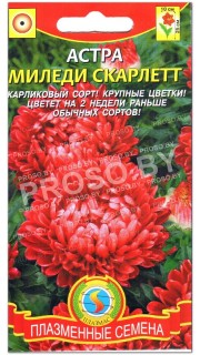 Астра Миледи скарлетт