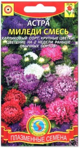 Астра Миледи смесь