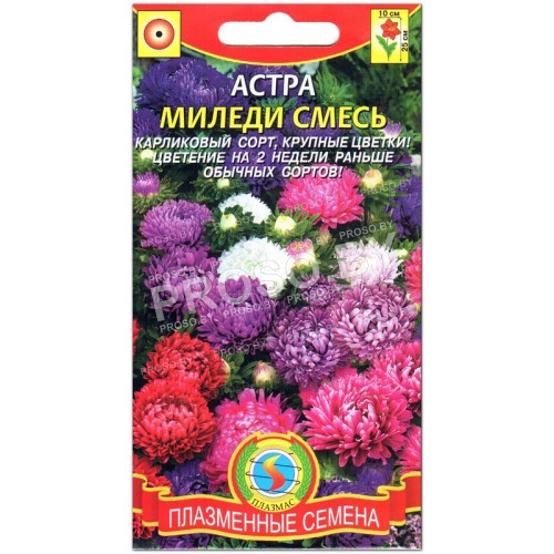 Астра Миледи смесь
