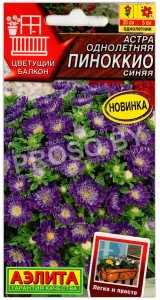 Астра Пиноккио синяя