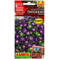 Астра Пиноккио синяя