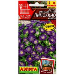 Астра Пиноккио синяя