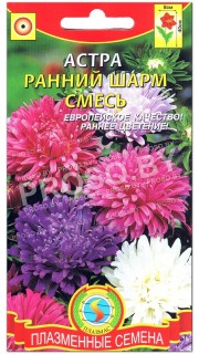 Астра Ранний шарм, смесь