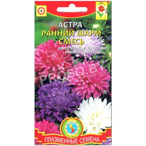 Астра Ранний шарм, смесь