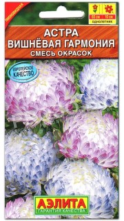 Астра Вишневая гармония, смесь