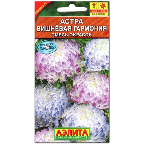 Астра Вишневая гармония, смесь