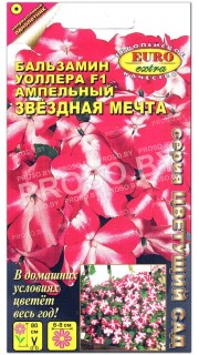 Бальзамин ампельный Звездная мечта F1