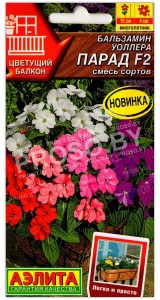 Бальзамин уоллера Парад F2, смесь