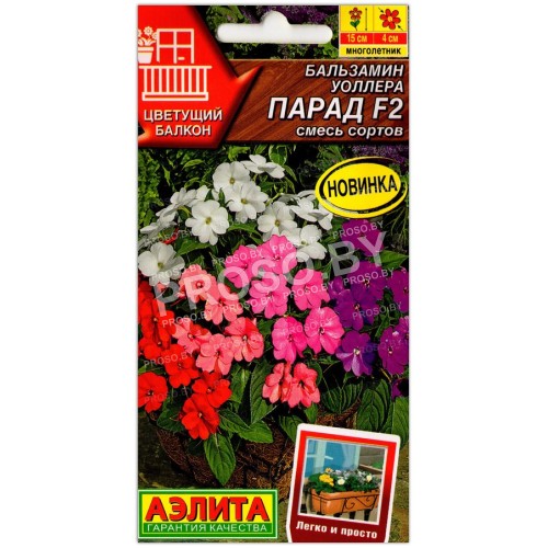 Бальзамин уоллера Парад F2, смесь
