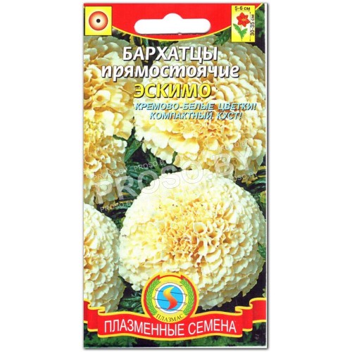 Бархатцы Эскимо-1