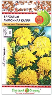Бархатцы Лимонная капля