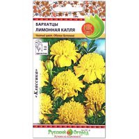 Бархатцы Лимонная капля