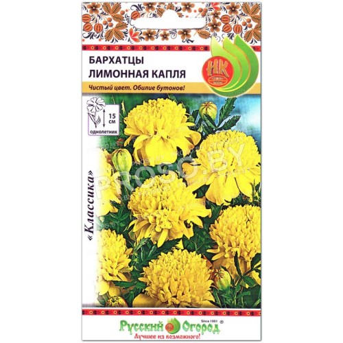 Бархатцы Лимонная капля