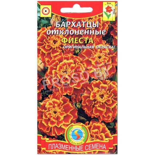 Бархатцы отклоненные Фиеста-1