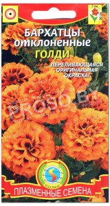Бархатцы отклоненные Голди
