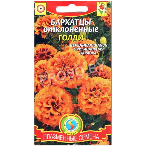 Бархатцы отклоненные Голди