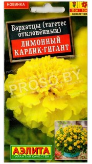 Бархатцы отклоненные Лимонный карлик-гигант