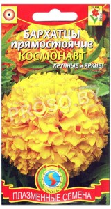 Бархатцы прямостоячие Космонавт