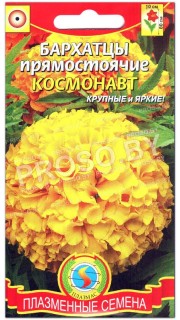 Бархатцы прямостоячие Космонавт