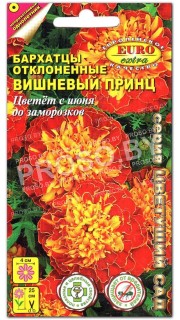 Бархатцы Вишневый принц