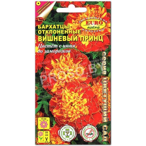 Бархатцы Вишневый принц