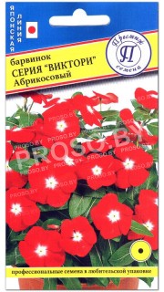 Барвинок Абрикосовый, серия Виктори