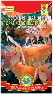 Бегония Шансон оранжево-желтая F1