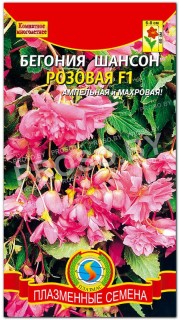Бегония Шансон розовая F1