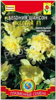 Бегония Шансон желтая F1