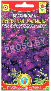 Брахикома Пурпурная малышка