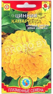 Цинния изящная Канарейка