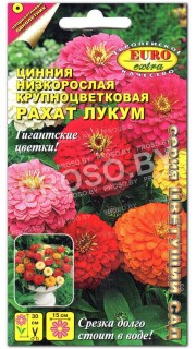 Цинния Рахат Лукум