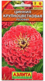 Цинния Розовая