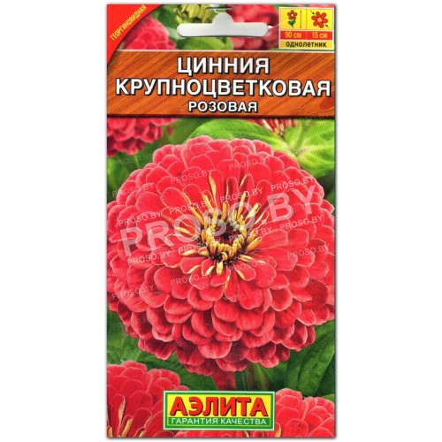Цинния Розовая