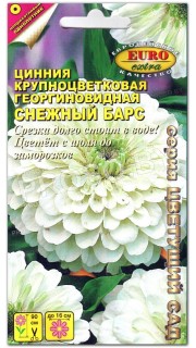 Цинния Снежный барс