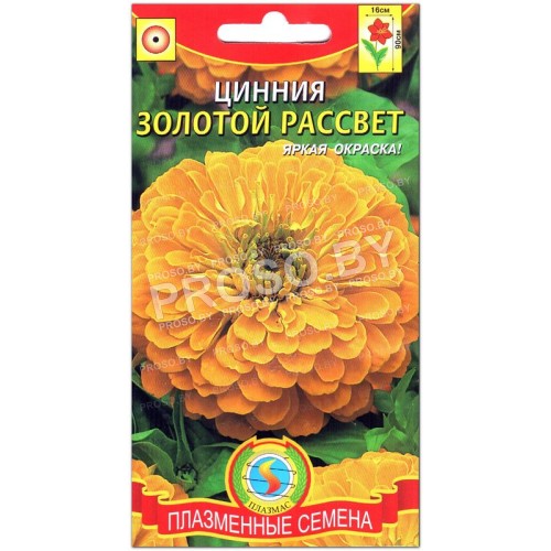 Цинния Золотой рассвет