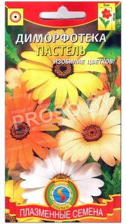 Диморфотека Пастель
