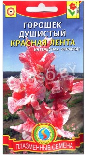 Душистый горошек Красная лента