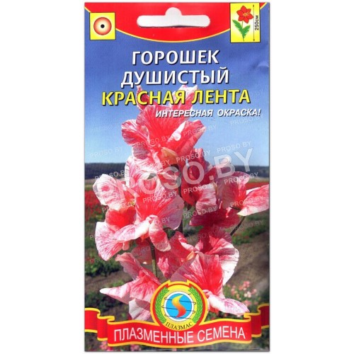 Душистый горошек Красная лента